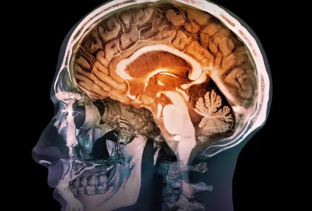 Cérebro humano ilustrado em destaque, representando funções cognitivas como memória, atenção e raciocínio, associado ao impacto da inteligência artificial na atividade mental e no processamento de informações.