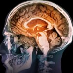 Cérebro humano ilustrado em destaque, representando funções cognitivas como memória, atenção e raciocínio, associado ao impacto da inteligência artificial na atividade mental e no processamento de informações.