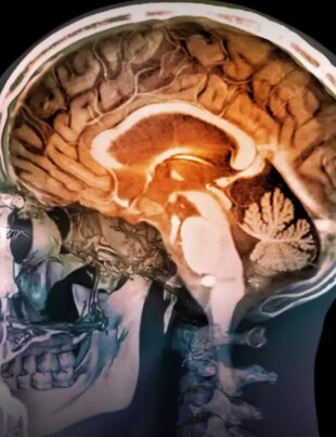Cérebro humano ilustrado em destaque, representando funções cognitivas como memória, atenção e raciocínio, associado ao impacto da inteligência artificial na atividade mental e no processamento de informações.