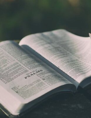 quantos livros tem a biblia