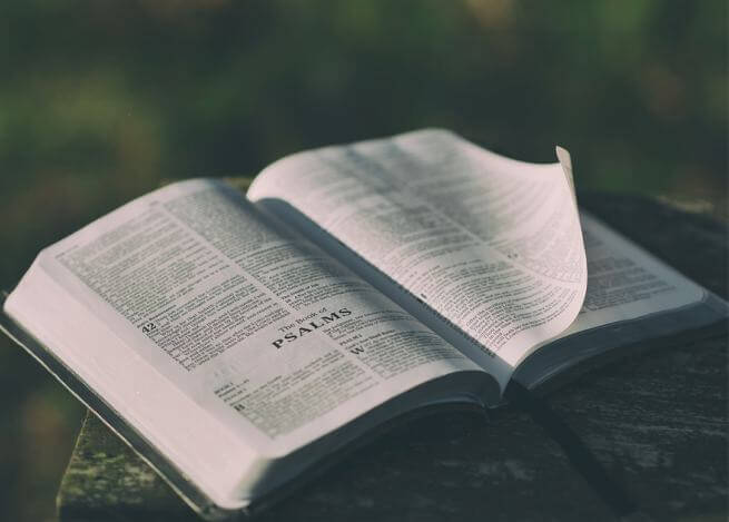 quantos livros tem a biblia
